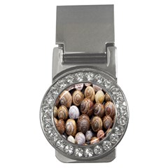 Snail Shells Pattern Arianta Arbustorum Money Clips (cz)  by artworkshop