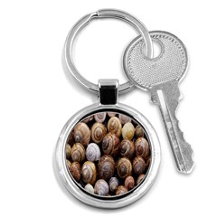 Snail Shells Pattern Arianta Arbustorum Key Chain (round) by artworkshop