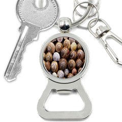 Snail Shells Pattern Arianta Arbustorum Bottle Opener Key Chain by artworkshop