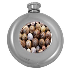 Snail Shells Pattern Arianta Arbustorum Round Hip Flask (5 Oz) by artworkshop