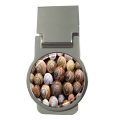 Snail Shells Pattern Arianta Arbustorum Money Clips (round)  by artworkshop