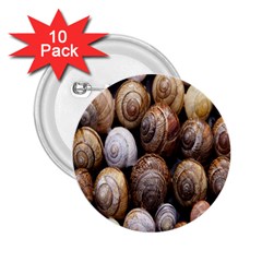 Snail Shells Pattern Arianta Arbustorum 2 25  Buttons (10 Pack) 