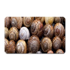 Snail Shells Pattern Arianta Arbustorum Magnet (rectangular) by artworkshop