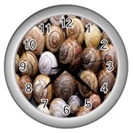 Snail Shells Pattern Arianta Arbustorum Wall Clock (Silver) Front