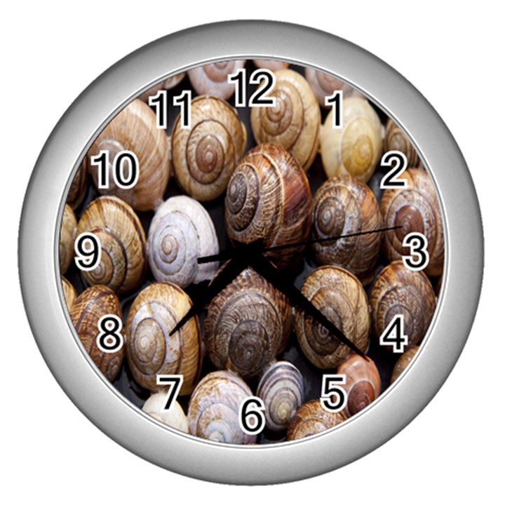 Snail Shells Pattern Arianta Arbustorum Wall Clock (Silver)