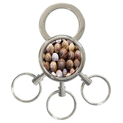 Snail Shells Pattern Arianta Arbustorum 3-ring Key Chain by artworkshop