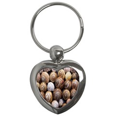 Snail Shells Pattern Arianta Arbustorum Key Chain (heart) by artworkshop