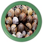 Snail Shells Pattern Arianta Arbustorum Color Wall Clock Front