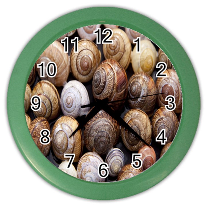 Snail Shells Pattern Arianta Arbustorum Color Wall Clock