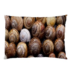 Snail Shells Pattern Arianta Arbustorum Pillow Case by artworkshop