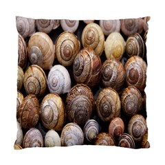 Snail Shells Pattern Arianta Arbustorum Standard Cushion Case (two Sides) by artworkshop