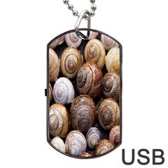 Snail Shells Pattern Arianta Arbustorum Dog Tag Usb Flash (two Sides)