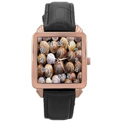 Snail Shells Pattern Arianta Arbustorum Rose Gold Leather Watch 