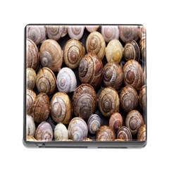 Snail Shells Pattern Arianta Arbustorum Memory Card Reader (square 5 Slot) by artworkshop