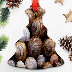 Snail Shells Pattern Arianta Arbustorum Christmas Tree Ornament (two Sides)