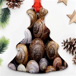 Snail Shells Pattern Arianta Arbustorum Christmas Tree Ornament (Two Sides) Back