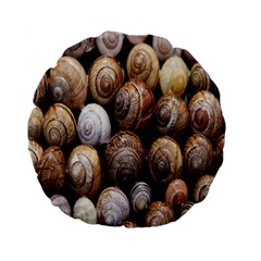 Snail Shells Pattern Arianta Arbustorum Standard 15  Premium Flano Round Cushions by artworkshop