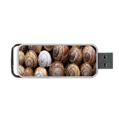 Snail Shells Pattern Arianta Arbustorum Portable Usb Flash (one Side) by artworkshop