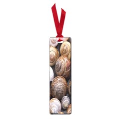 Snail Shells Pattern Arianta Arbustorum Small Book Marks by artworkshop