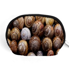 Snail Shells Pattern Arianta Arbustorum Accessory Pouch (medium) by artworkshop