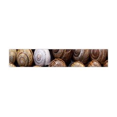 Snail Shells Pattern Arianta Arbustorum Flano Scarf (mini) by artworkshop