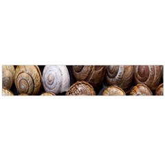 Snail Shells Pattern Arianta Arbustorum Large Flano Scarf 