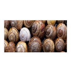 Snail Shells Pattern Arianta Arbustorum Satin Wrap 35  X 70  by artworkshop