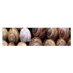 Snail Shells Pattern Arianta Arbustorum Oblong Satin Scarf (16  X 60 ) by artworkshop