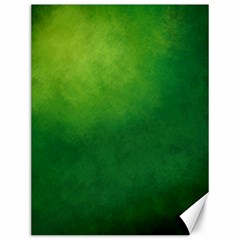 Light Green Abstract Canvas 12  X 16  by nateshop