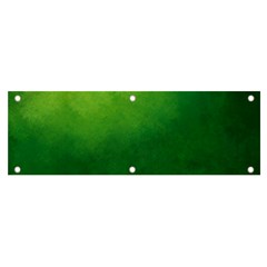 Light Green Abstract Banner And Sign 6  X 2 