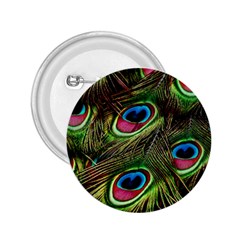 Peacock-feathers-color-plumage 2 25  Buttons by Celenk