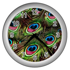 Peacock-feathers-color-plumage Wall Clock (silver) by Celenk