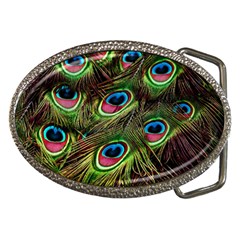 Peacock-feathers-color-plumage Belt Buckles by Celenk