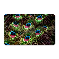 Peacock-feathers-color-plumage Magnet (rectangular) by Celenk