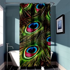 Peacock-feathers-color-plumage Shower Curtain 36  X 72  (stall)  by Celenk