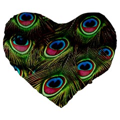 Peacock-feathers-color-plumage Large 19  Premium Heart Shape Cushions by Celenk