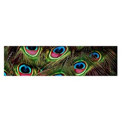 Peacock-feathers-color-plumage Oblong Satin Scarf (16  X 60 ) by Celenk