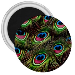 Peacock-feathers-color-plumage 3  Magnets by Celenk