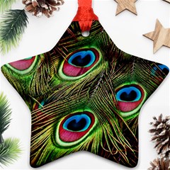 Peacock-feathers-color-plumage Ornament (star) by Celenk