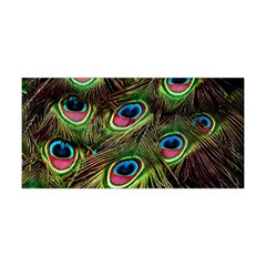 Peacock-feathers-color-plumage Yoga Headband by Celenk