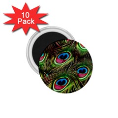 Peacock-feathers-color-plumage 1 75  Magnets (10 Pack)  by Celenk