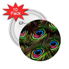 Peacock-feathers-color-plumage 2 25  Buttons (10 Pack)  by Celenk