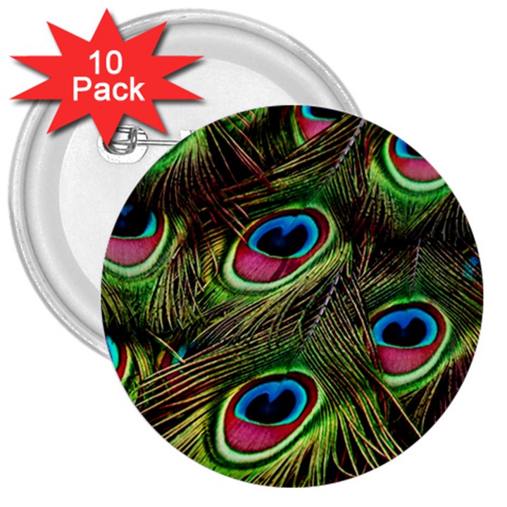 Peacock-feathers-color-plumage 3  Buttons (10 pack) 