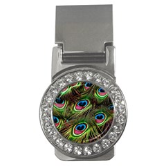 Peacock-feathers-color-plumage Money Clips (cz)  by Celenk