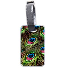 Peacock-feathers-color-plumage Luggage Tag (two Sides) by Celenk