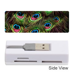 Peacock-feathers-color-plumage Memory Card Reader (stick) by Celenk