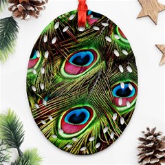 Peacock-feathers-color-plumage Ornament (oval Filigree) by Celenk