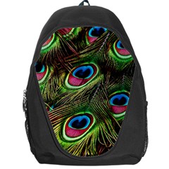 Peacock-feathers-color-plumage Backpack Bag by Celenk