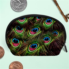 Peacock-feathers-color-plumage Accessory Pouch (large) by Celenk