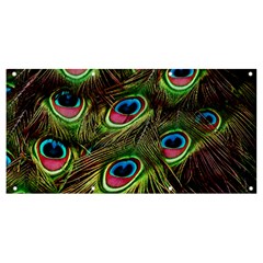 Peacock-feathers-color-plumage Banner And Sign 8  X 4  by Celenk